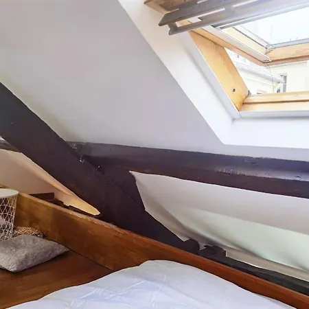 Calm Loft In The Center Of 11arr N11-199 Apartment